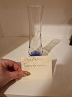 Disney vaasje, Enlèvement