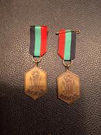 #162# Médaille avec ruban (rouge-vert-noir) 'R.O.O.S.'/voir, Enlèvement ou Envoi