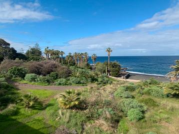 Onverwachts alleen thuis vanavond