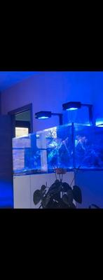 Red Sea Realer XL 525 Deluxe, Animaux & Accessoires, Poissons | Aquariums & Accessoires, Enlèvement ou Envoi