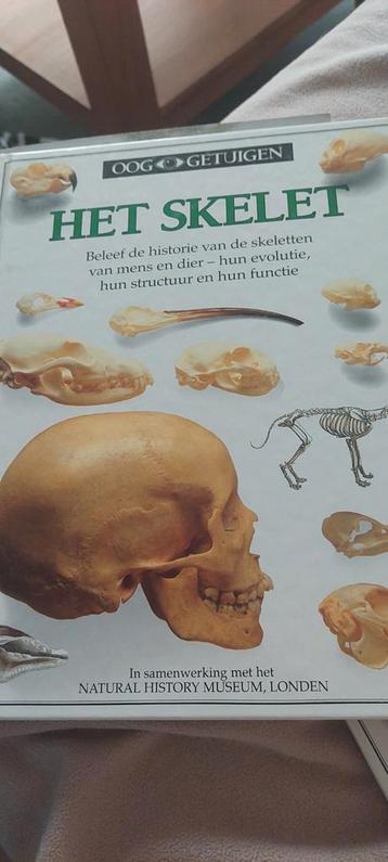 Ooggetuigen  het skelet beschikbaar voor biedingen