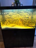 Aquarium te koop, Ophalen, Zo goed als nieuw