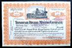 Tonopah Divide Mining Company 1920, Postzegels en Munten, Aandelen en Waardepapieren, Ophalen of Verzenden, Voor 1920, Certificaat van aandeel