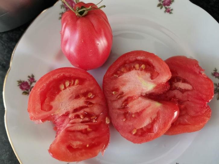 5 graines de tomates Santa Ana - biologiques, Jardin & Terrasse, Bulbes & Semences, Graine, Printemps, Envoi
