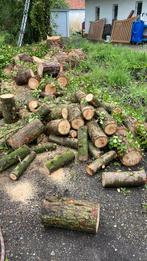 Gratis brandhout Zoersel, Stammen, 3 tot 6 m³, Ophalen, Overige houtsoorten