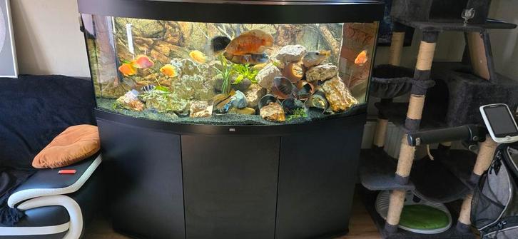 Volledig aquarium juwel vision 450L met externe oase filter, Dieren en Toebehoren, Vissen | Aquaria en Toebehoren, Zo goed als nieuw