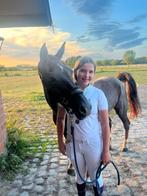 Lieve D-pony, Dieren en Toebehoren, Pony's, Merrie, 11 jaar of ouder, Recreatiepony, D pony (1.37m tot 1.48m)