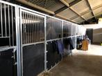 Concoursboxen 14 euro!!, Dieren en Toebehoren, Stalling en Weidegang, Stalling, 2 of 3 paarden of pony's