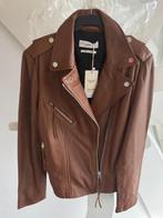 splinternieuwe cognac lamsleren jack Mango maat L, Kleding | Dames, Ophalen of Verzenden, Maat 42/44 (L), Bruin, Jasje