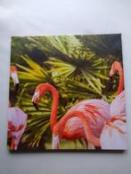 Canvas schilderij flamingo, Antiek en Kunst, Ophalen