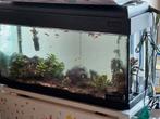 Aquarium, Ophalen, Zo goed als nieuw