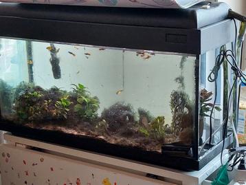Aquarium beschikbaar voor biedingen