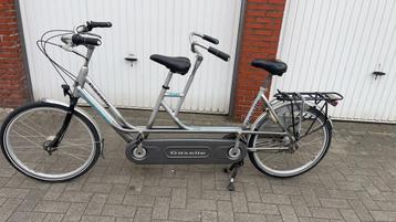 Tandem Gazelle beschikbaar voor biedingen