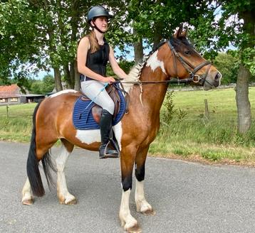 Super brave bonte merrie ideale recreatie/manegepony. beschikbaar voor biedingen
