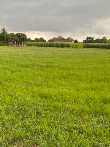 Landbouwgrond te Geel beschikbaar voor biedingen