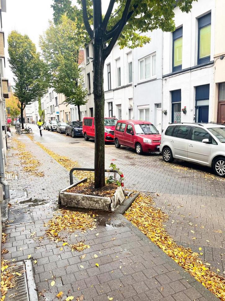 Per direct, Gezinswoning in Antwerpen te huur., Immo, Huizen te huur, Antwerpen (stad), Tussenwoning, Direct bij eigenaar, E