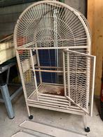 Grande cage peroquet, Animaux & Accessoires, Oiseaux | Cages & Volières, Enlèvement, Utilisé, Métal, Cage à oiseaux