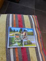 Les hautes fagnes, Ophalen of Verzenden, Gelopen