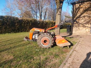 motoculteur goldoni 10cv beschikbaar voor biedingen