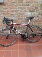 Koetsfiets, Fietsen en Brommers, 28 inch, Heren, 15 tot 20 versnellingen, 53 tot 57 cm