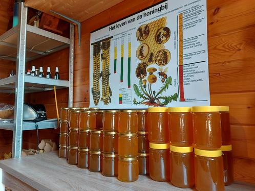 Honing Fruithoning en Koolzaadhoning imker. The Honey Bear, Divers, Produits alimentaires, Enlèvement ou Envoi