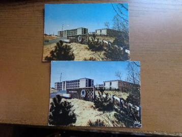 2 postkaarten De Panne, De blauwe distel