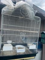 1 cage de canaris a vendre avec 2 couples, Ophalen of Verzenden