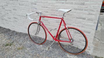 Colnago arabesque regal beschikbaar voor biedingen