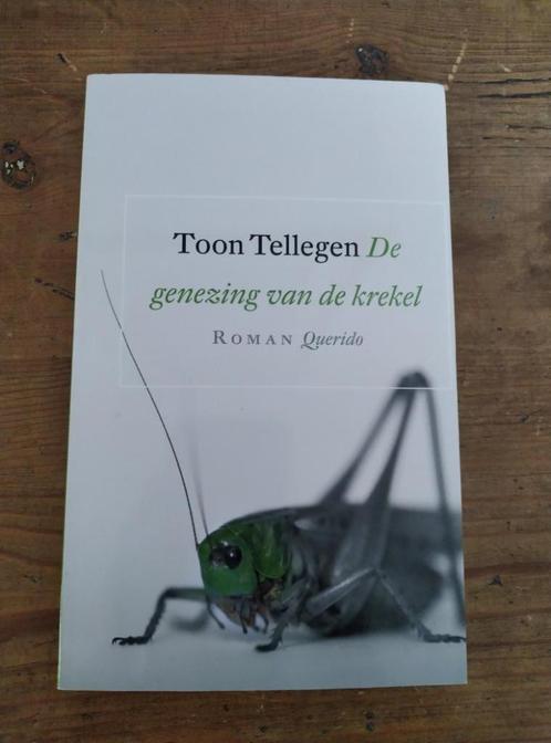 De genezing van de krekel, Toon Tellegen, Livres, Livres pour enfants | Jeunesse | Moins de 10 ans, Enlèvement ou Envoi