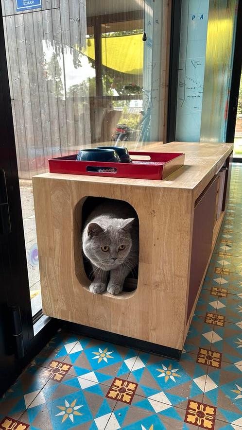 Kattebak op maat gemaakt., Dieren en Toebehoren, Kattenbakken, Zo goed als nieuw, Ophalen