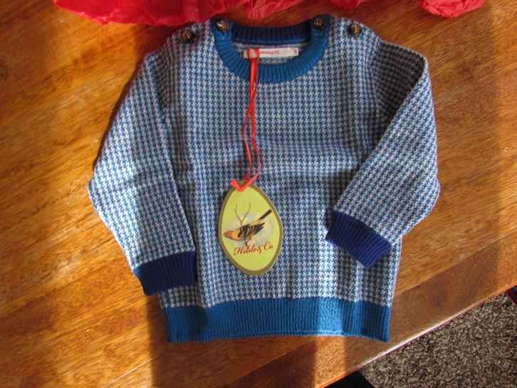 Pull Fred & Ginger 6 mois, Enfants & Bébés, Vêtements de bébé | Taille 68, Neuf, Garçon, Pull ou Veste, Enlèvement ou Envoi