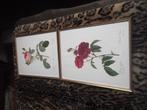 2 lijsten met bloemenfiguren , Ophalen, Overige materialen, Minder dan 50 cm, Nieuw