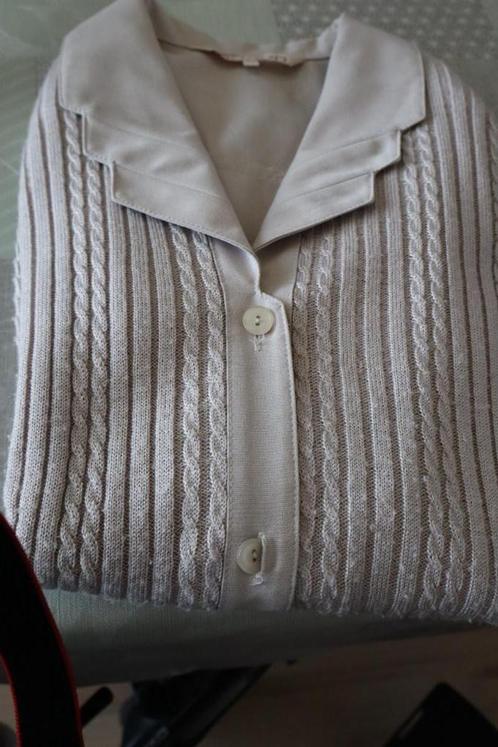 Grijze Dames cardigan /vest merk Daxon maat 42, Kleding | Dames, Truien en Vesten, Zo goed als nieuw, Maat 42/44 (L), Grijs, Ophalen