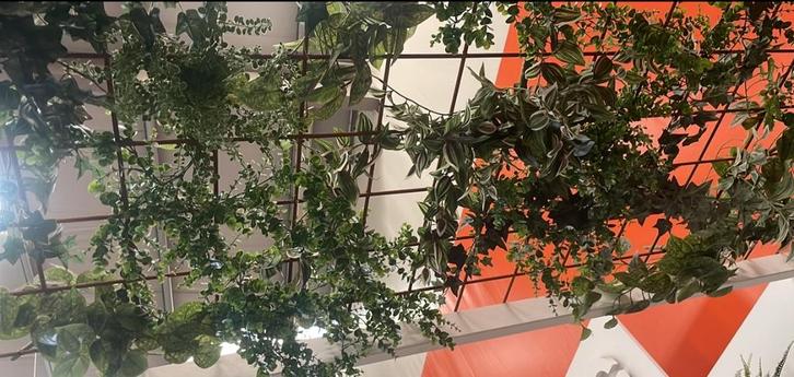 KunstHangplant, Huis en Inrichting, Woonaccessoires | Kunstplanten en Kunstbloemen, Ophalen