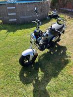 Honda ST125 te koop, Motoren, Motoren | Honda, Particulier, 125 cc, Overig, 11 kW of minder