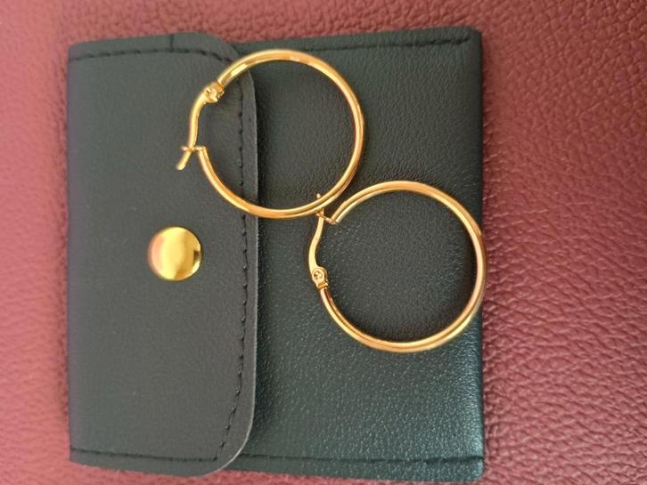 18k verguld hypoallergeen, Bijoux, Sacs & Beauté, Boucles d'oreilles, Neuf, Enlèvement ou Envoi