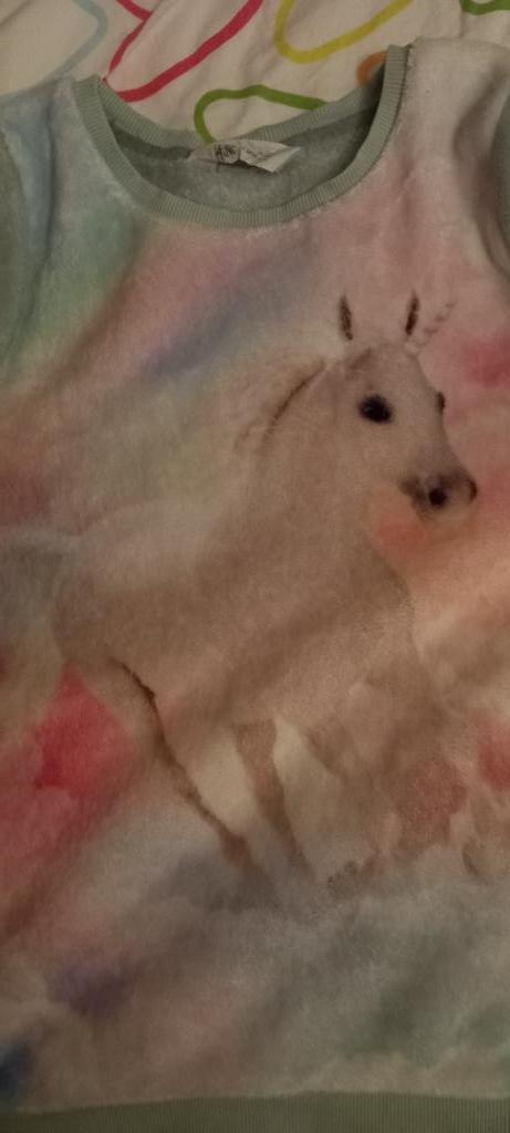 mintgroene trui met paard H&M maat 140, Kinderen en Baby's, Kinderkleding | Maat 134, Zo goed als nieuw, Meisje, Trui of Vest