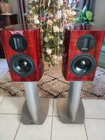 Living Sounds Audio Statement 100, Audio, Tv en Foto, Luidsprekerboxen, Ophalen of Verzenden, Zo goed als nieuw, 120 watt of meer