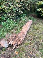 Gratis hout van omgewaaide bomen, Doe-het-zelf en Bouw, Hout en Planken, Ophalen, Zo goed als nieuw, Overige houtsoorten