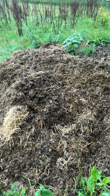 Gratis paardenmest op te halen (dringend!!) beschikbaar voor biedingen