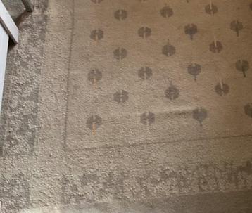 Mooi groot modern tapijt beschikbaar voor biedingen