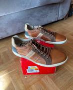 Nieuwe Bjorn Borg 42 schoenen, Ophalen, Bruin, Nieuw, Bjorn Borg