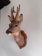 Hertenkop, Enlèvement ou Envoi, Comme neuf