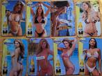 Aluminium plaat van 20 cm x 30 cm van Pin-up voor Corona-bie, Verzamelen, Verzenden