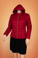 JBC Donzen Damesjas met Kap maat 36/38, Kleding | Dames, Jassen | Winter, Overige kleuren, JBC, Ophalen of Verzenden, Maat 36 (S)