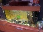 Aquarium, Ophalen, Zo goed als nieuw, Gevuld zoetwateraquarium