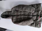 Winterjas Esprit dames, Kleding | Dames, Ophalen of Verzenden, Gedragen, Maat 36 (S)