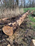Brandhout Canada bomen, Tuin en Terras, 6 m³ of meer, Ophalen, Overige houtsoorten, Stammen