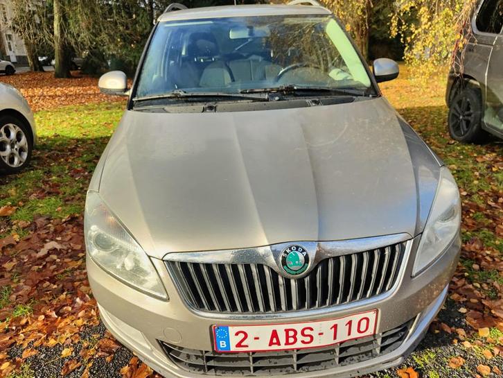 Skoda, Auto's, Skoda, Particulier, Fabia, ABS, Adaptive Cruise Control, Airbags, Airconditioning, Alarm, Bluetooth, Centrale vergrendeling