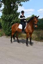 Brave ruin, Dieren en Toebehoren, Ruin